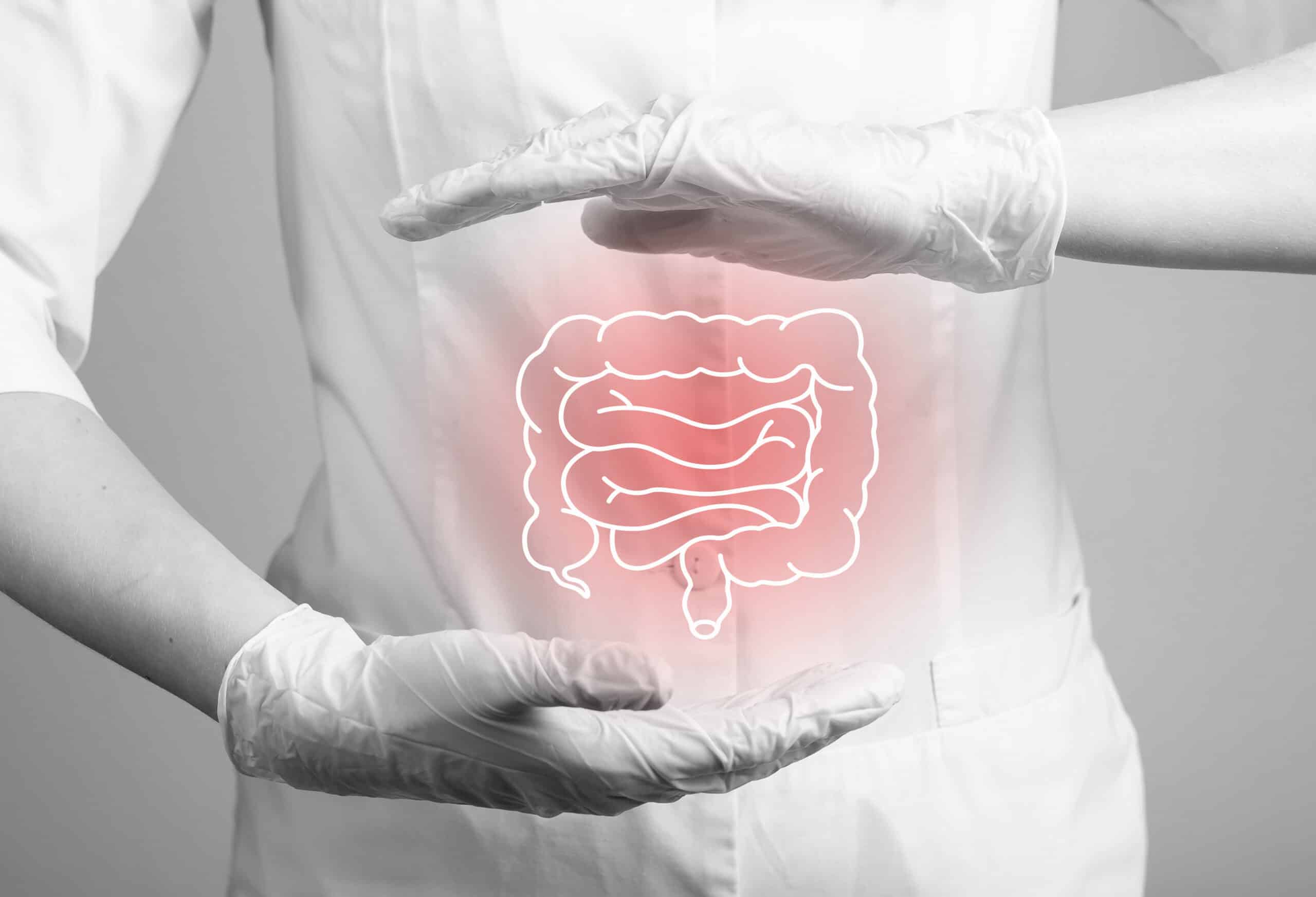 Person hält Hologramm eines Darms zwischen den Händen: Der Wirkstoff E. coli Stamm Nissle 1917 wirkt sich positiv auf die Darmgesundheit aus.